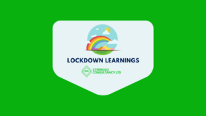 Synergos lockdown learnings social media (1)